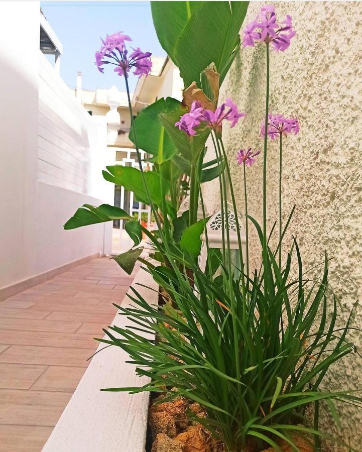 B&B Suites Via Del Mare Presicce Εξωτερικό φωτογραφία